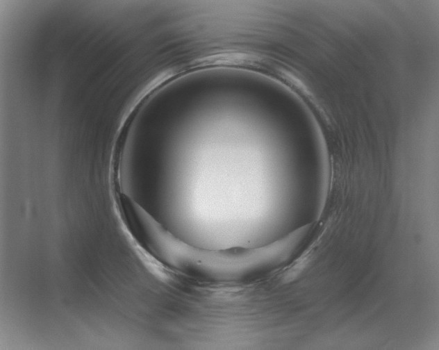 X0000071951426200607071158