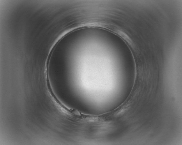 X0000071951428200607071158