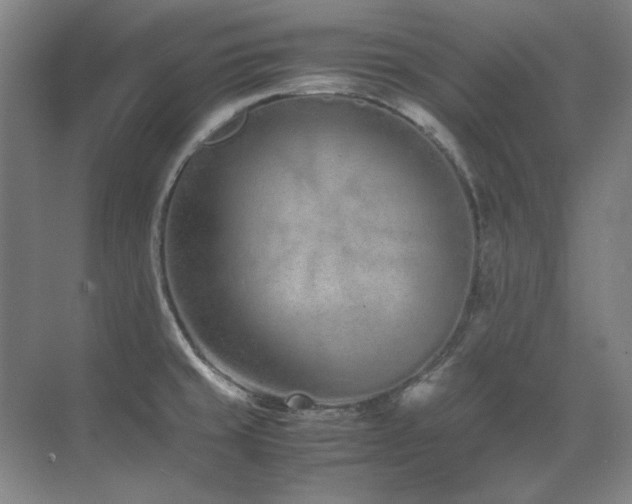 X0000071951429200607071158