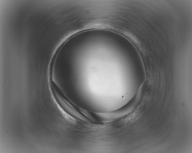 X0000071951430200607071158