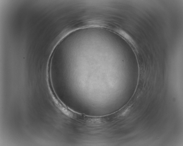 X0000071951431200607071158