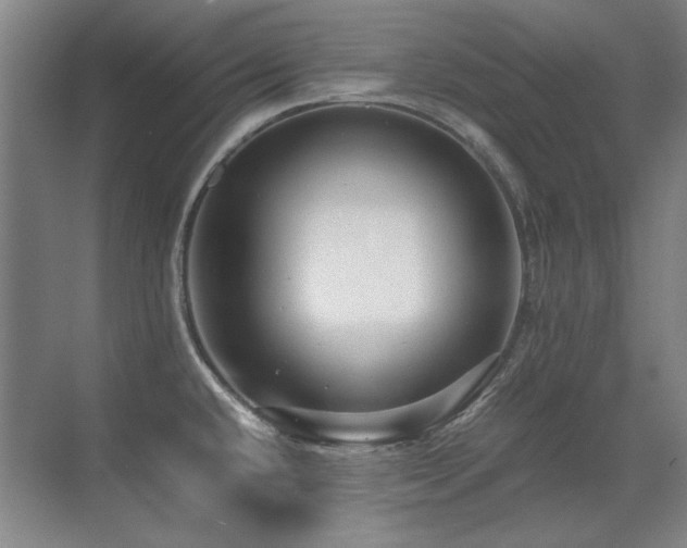 X0000071951432200607071158