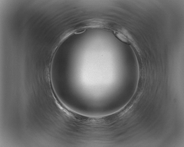 X0000071951433200607071158