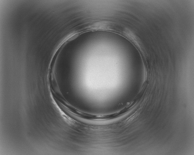 X0000071951434200607071158