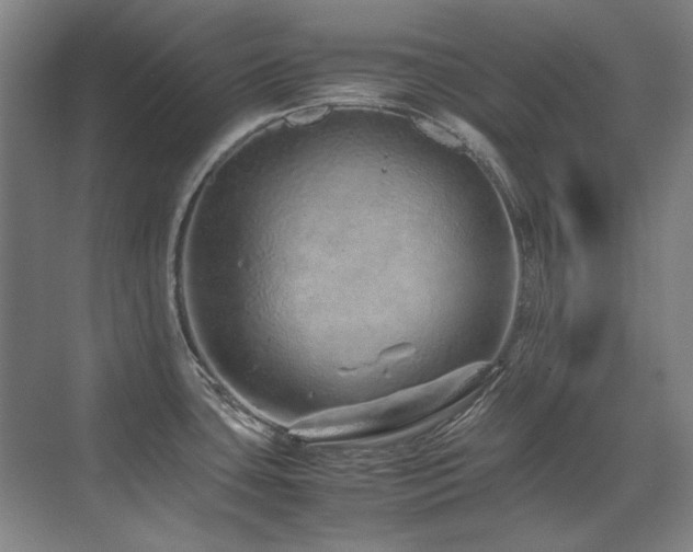 X0000071951435200607071158