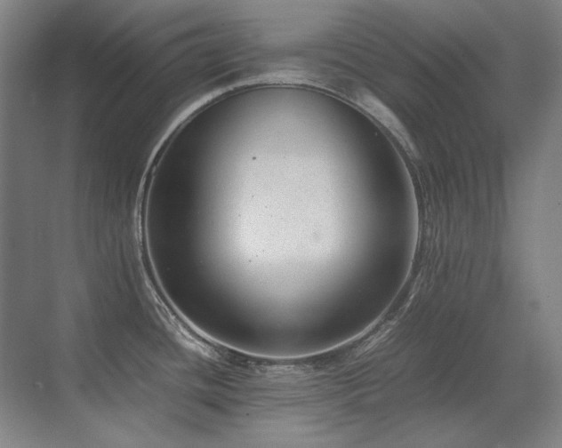 X0000071951436200607071158