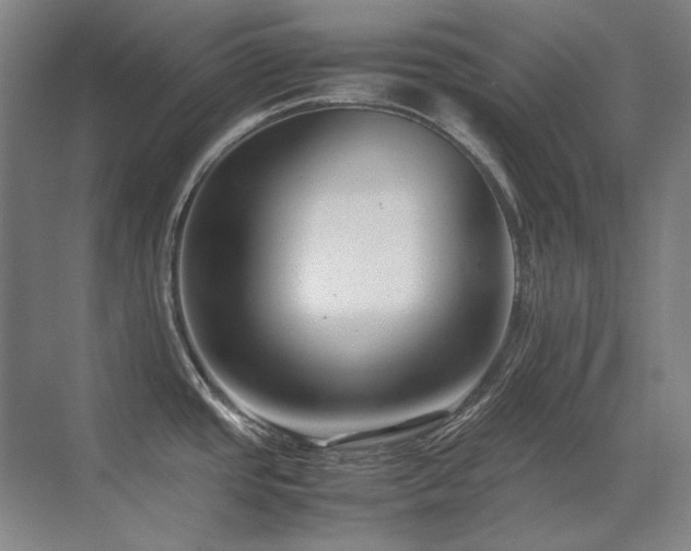 X0000071951437200607071158