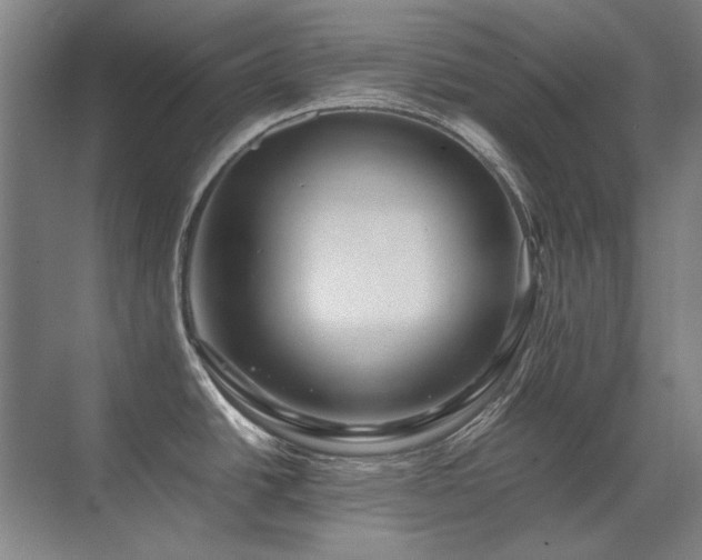 X0000071951438200607071158