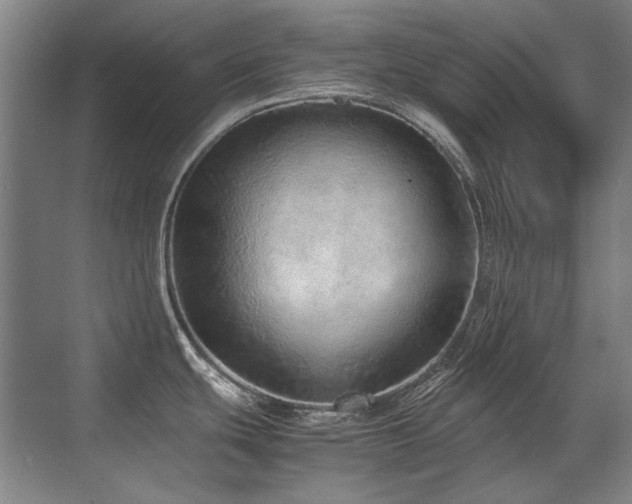 X0000071951439200607071158