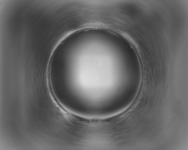 X0000071951440200607071158