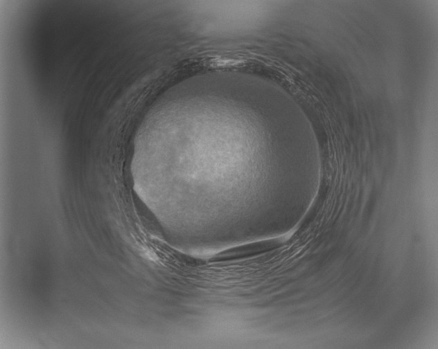 X0000071951441200607071158