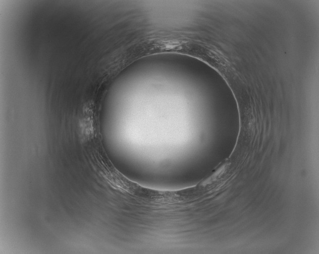 X0000071951442200607071158