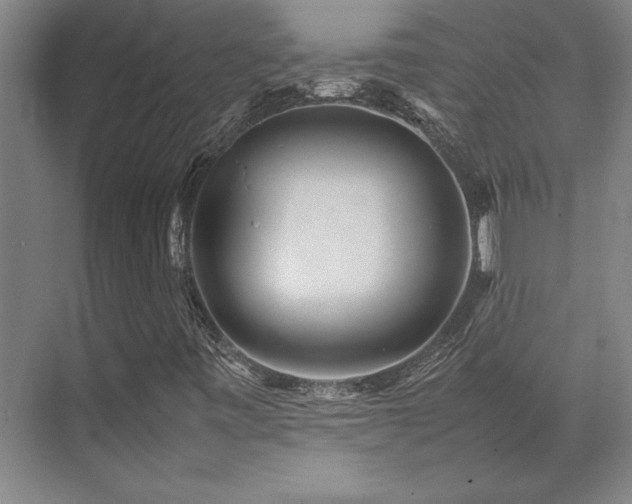 X0000071951443200607071158