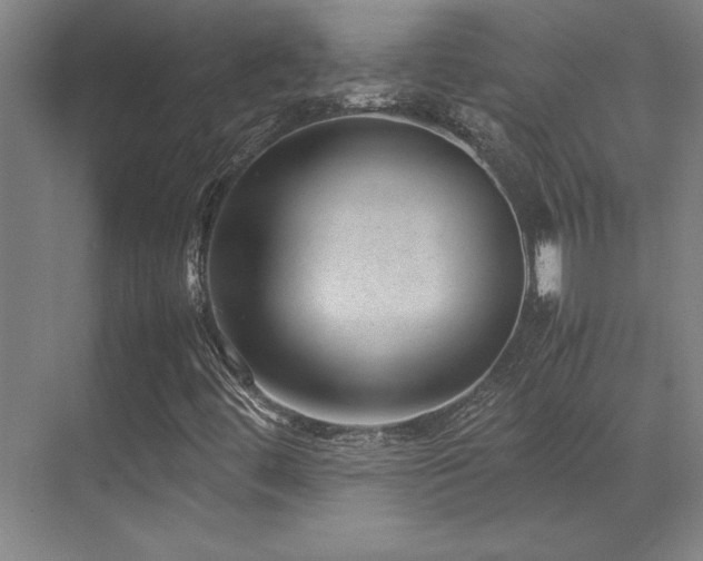 X0000071951444200607071158