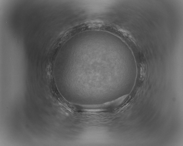 X0000071951445200607071158