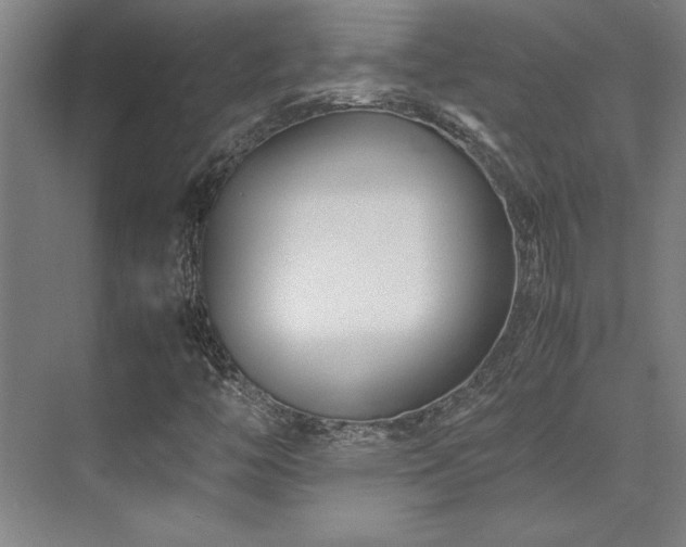 X0000071951446200607071158