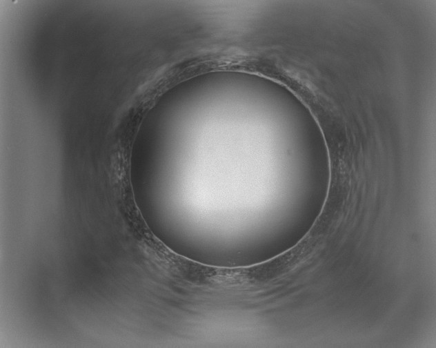 X0000071951447200607071158