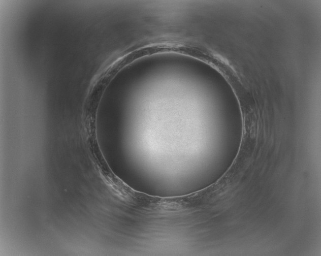 X0000071951448200607071158