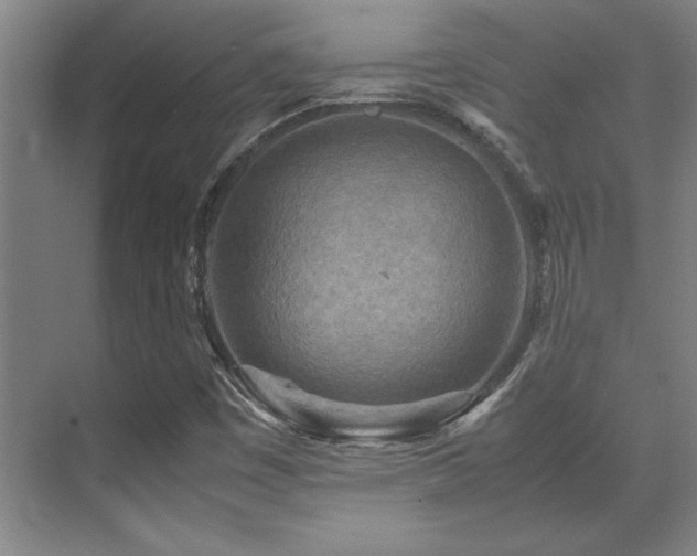 X0000071951449200607071157