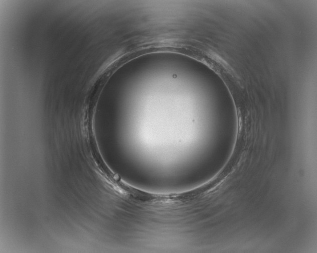 X0000071951450200607071157