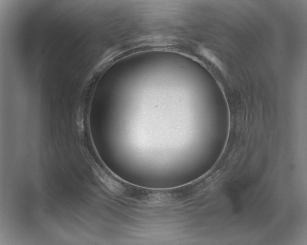 X0000071951451200607071157