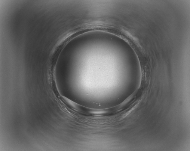 X0000071951453200607071157