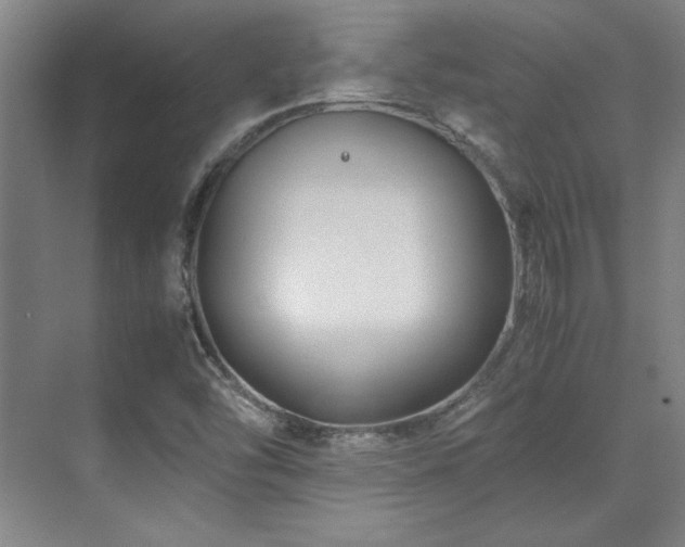 X0000071951454200607071157