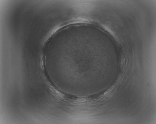 X0000071951455200607071157