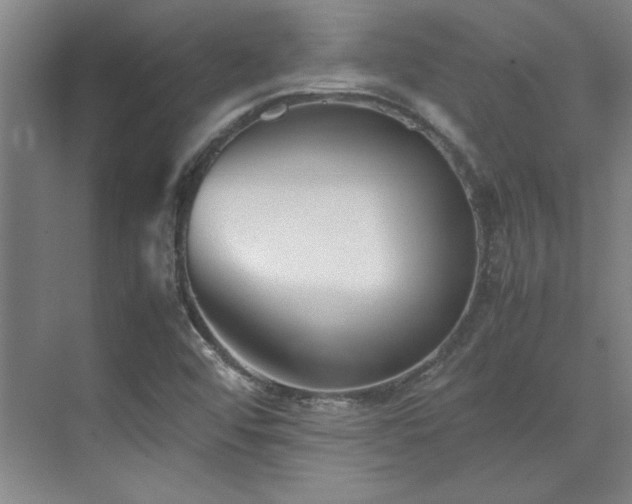 X0000071951456200607071157