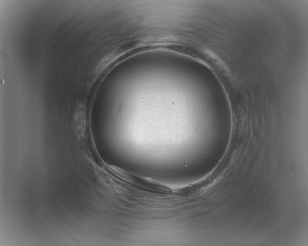 X0000071951457200607071157