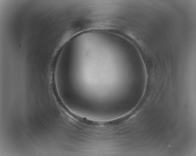 X0000071951459200607071157