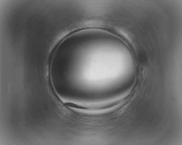 X0000071951461200607071157