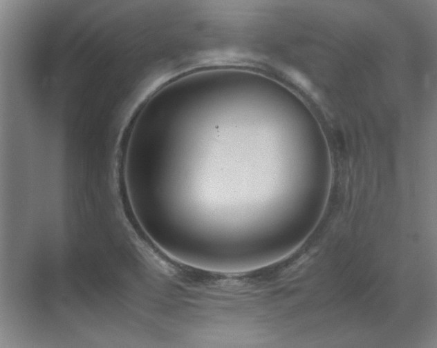 X0000071951463200607071157