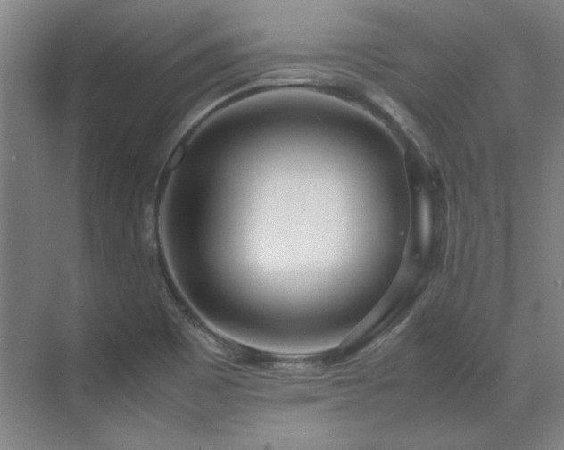 X0000071951465200607071157