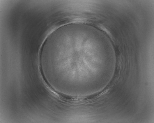 X0000071951467200607071157