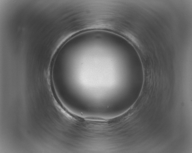 X0000071951468200607071157