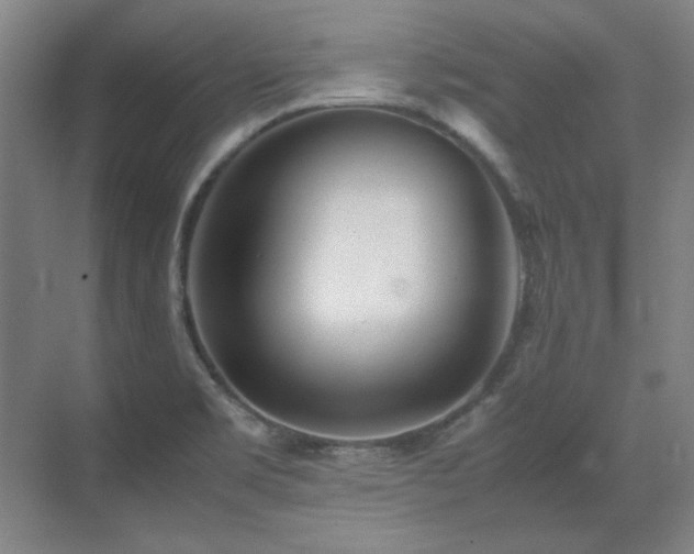 X0000071951469200607071157