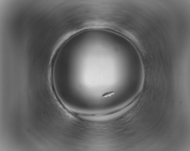 X0000071951472200607071157