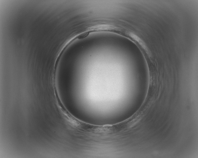 X0000071951473200607071157