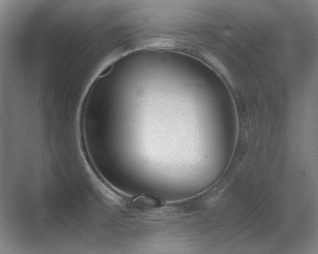 X0000071951475200607071157