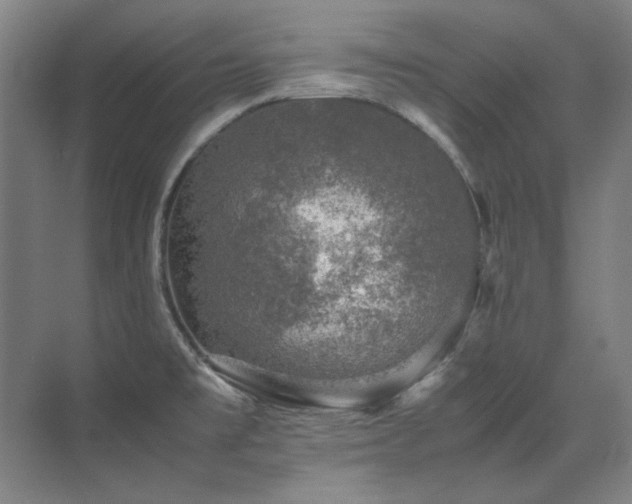 X0000071951477200607071157