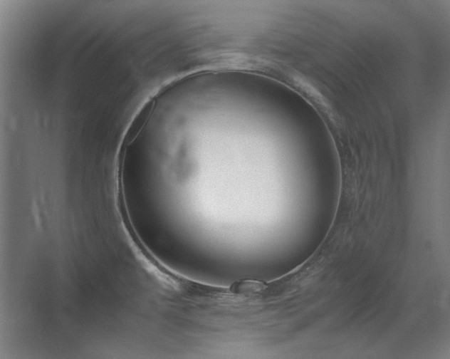 X0000071951479200607071157