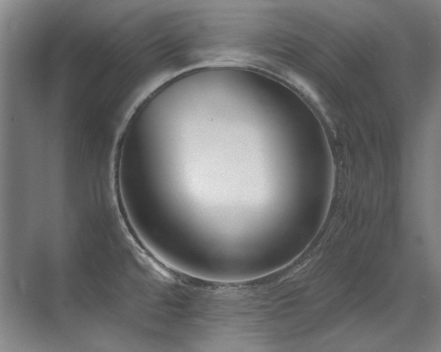 X0000071951480200607071157