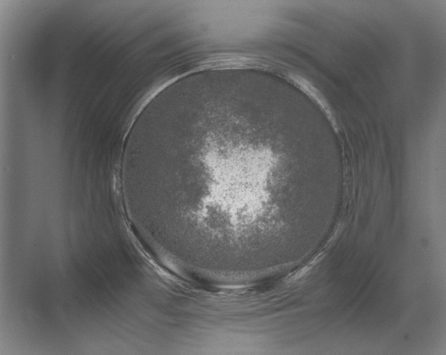 X0000071951481200607071157