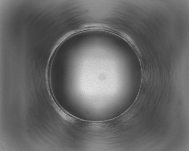 X0000071951482200607071157