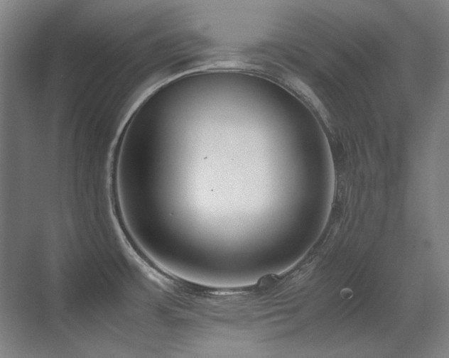 X0000071951483200607071157