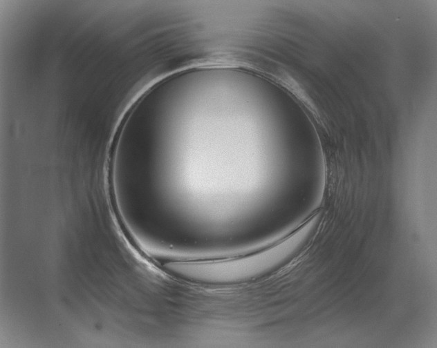 X0000071951484200607071157