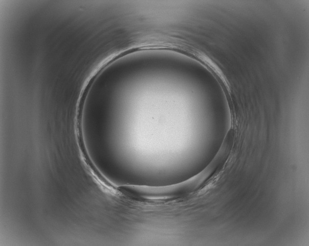 X0000071951485200607071157