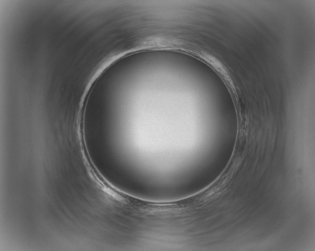 X0000071951486200607071157