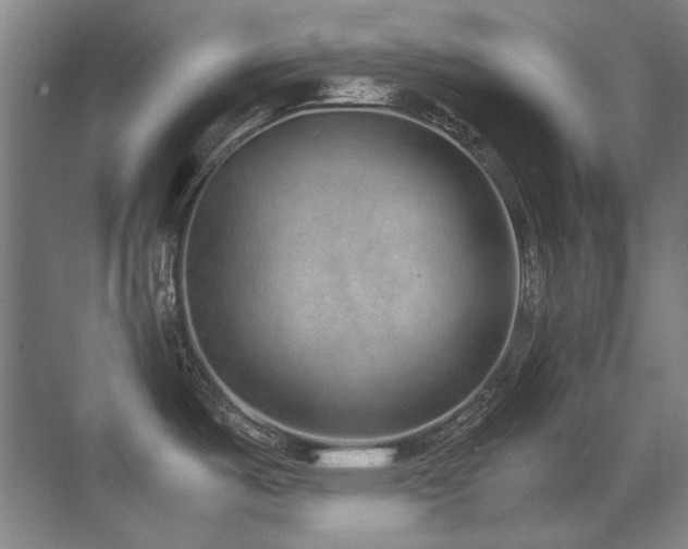 X0000071951487200607071157